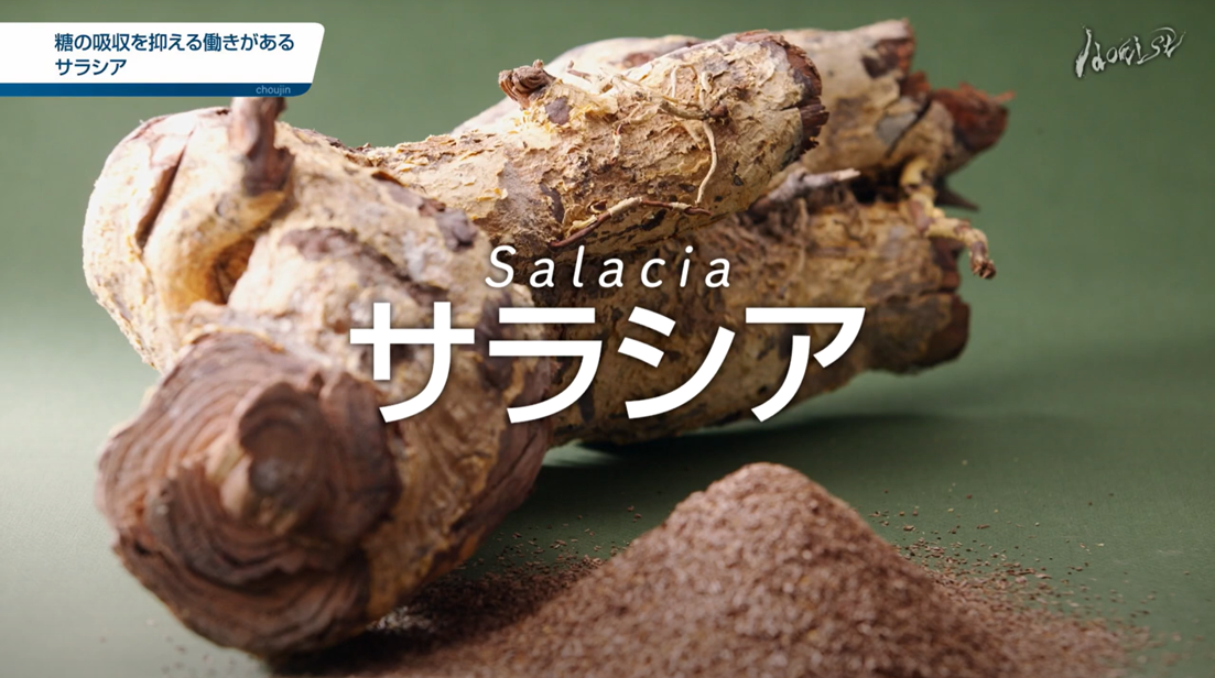 サラシア属植物普及協会