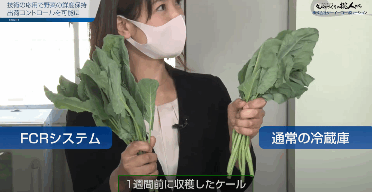 株式会社ケーイーコーポレーション