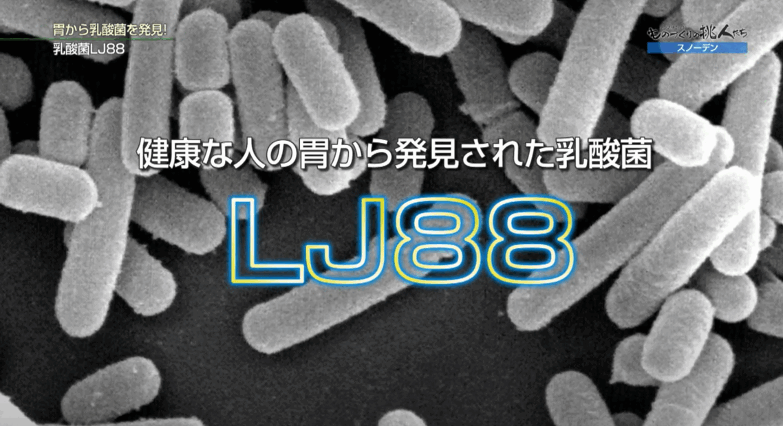 スノーデン株式会社