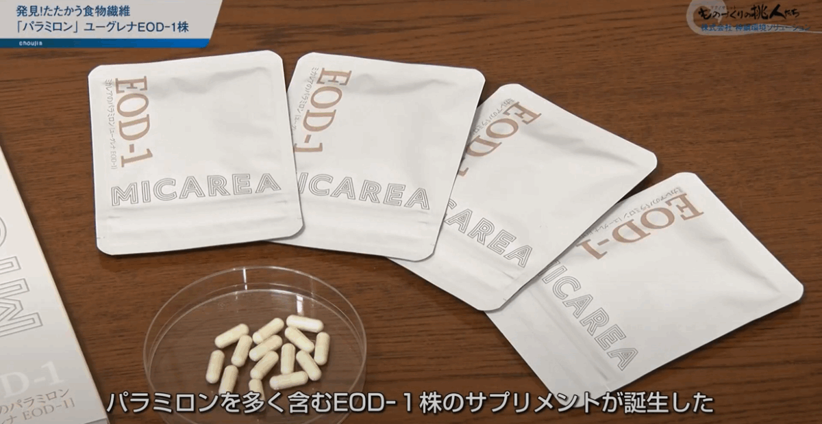 株式会社神鋼環境ソリューション